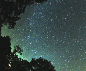 Lluvia de estrellas 'Perseidas' (Wikipedia)