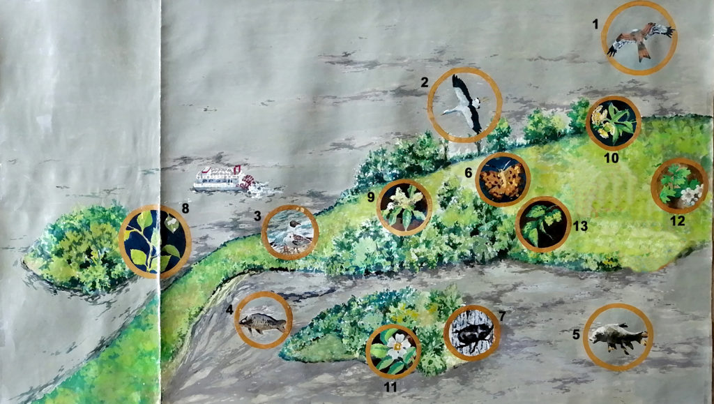 Mapa Tesoros en el Palero 
