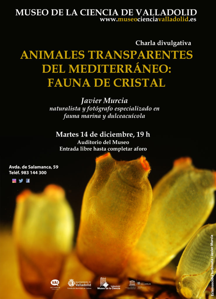 charla transparentes